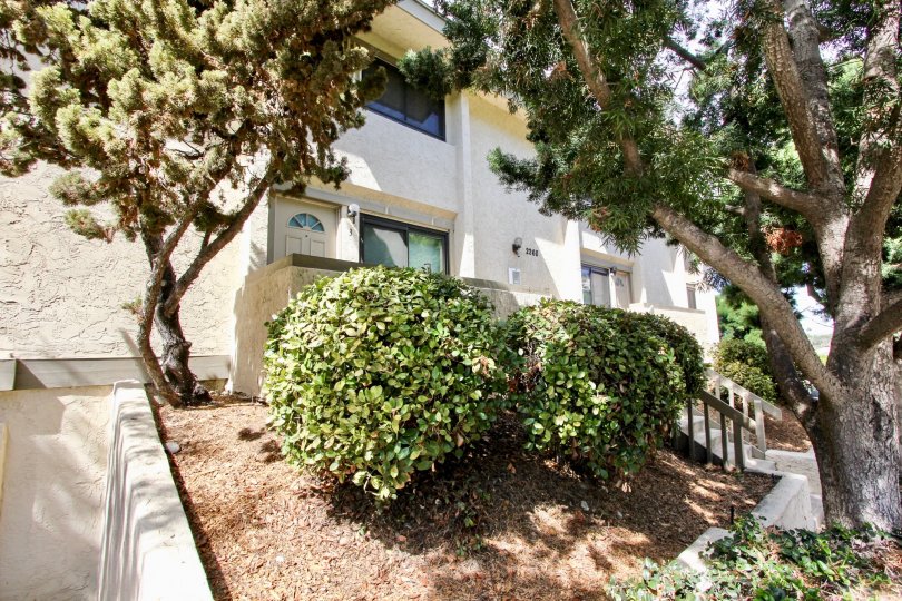 Worden Street Condos Ocean Beach CA